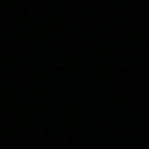 Meet your Posher, Rain